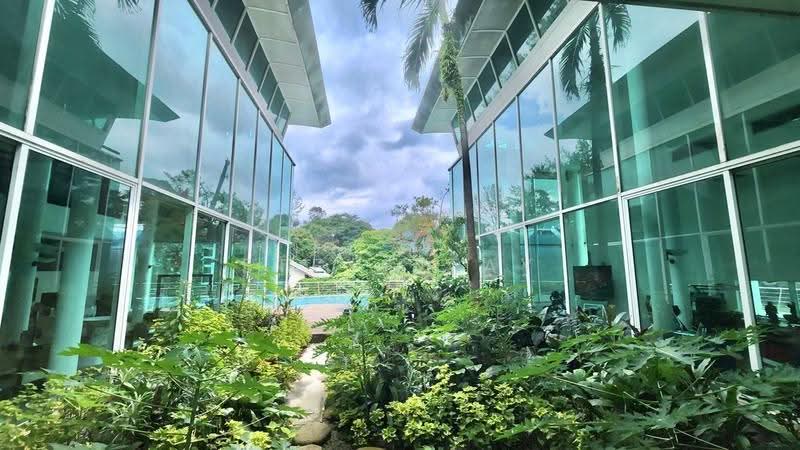 Prized GCB Plot in Nassim's Billionaires Row vicinity | Botanic Gdns View | Good Psf, Tanglin / Holland / Bukit Timah, 5 Bedrooms, 8,001 sqft, Good Class Bungalow For Sale, by Steve Tay, 500293354 - Exterior - PropertyGuru.com.sg