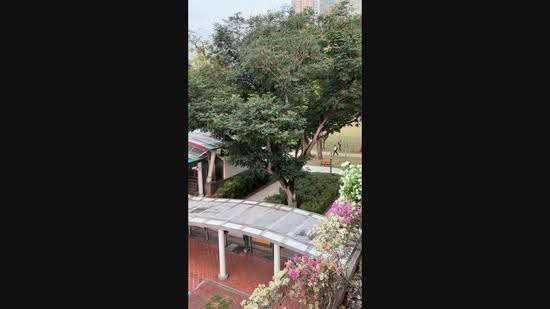 Havelock II, 2 Havelock Road, Boat Quay / Raffles Place / Marina, 1,195 sqft, Mall Shop For Rent, by Viveen Leo, 500293554 - CommercialGuru.com.sg