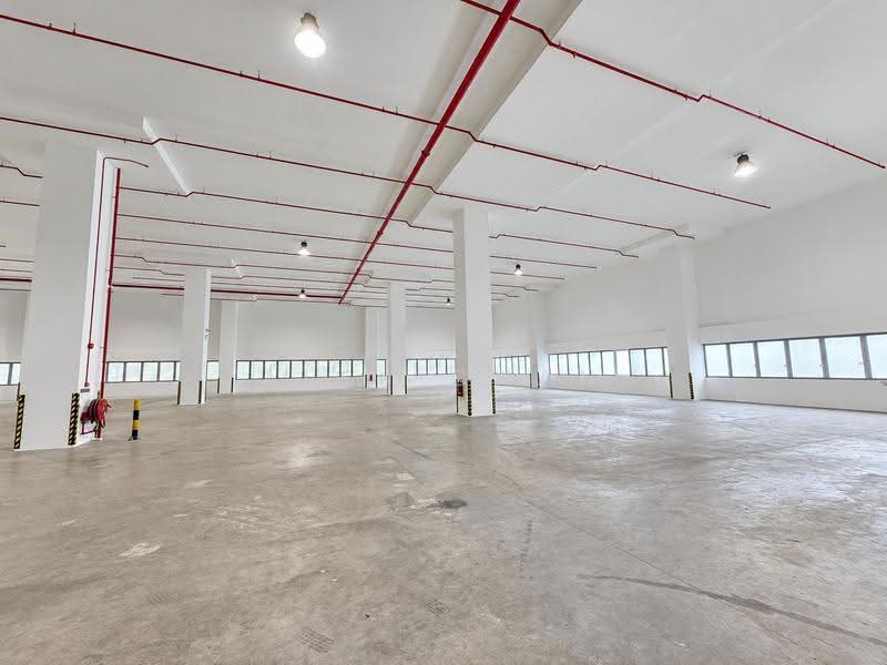 Cheap | Defu | 8m Ceiling | Loading Bays | 40 Footer Access | Near Amenities, Defu Lane, Hougang / Punggol / Sengkang, 45,000 sqft, Light Industrial (B1) For Rent, by Alex Chan, 500293585 - Interior - CommercialGuru.com.sg