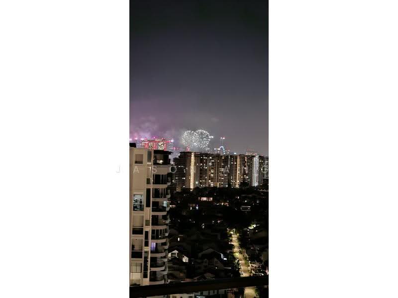 Fireworks view