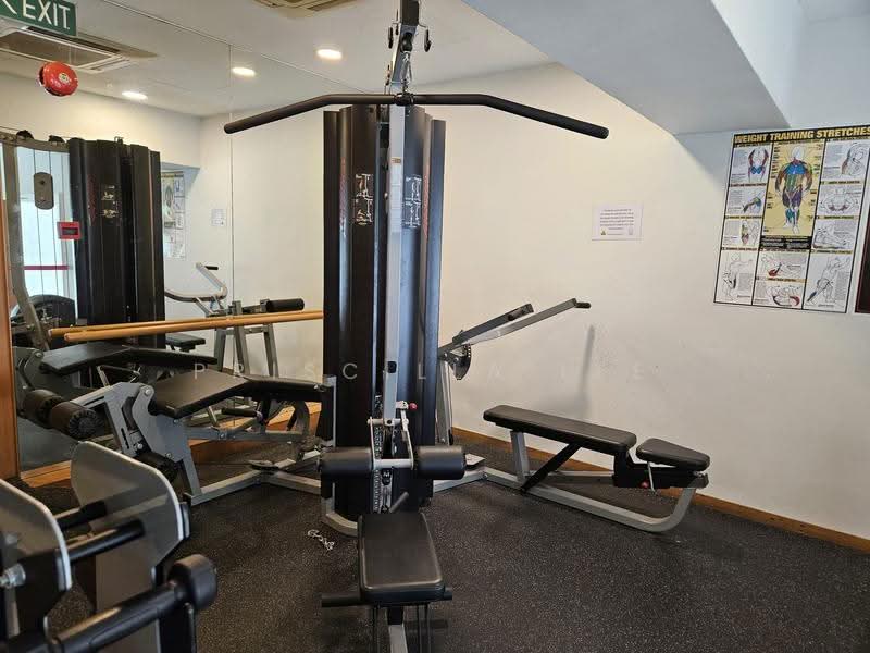 Hillview Regency, 28 Bukit Batok East Avenue 2, Dairy Farm / Bukit Panjang / Choa Chu Kang, Room Rental, 120 sqft, Condominium For Rent, by Priscilla Lee, 500293635 - Gym - PropertyGuru.com.sg