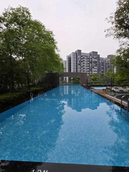 Pool (lap)