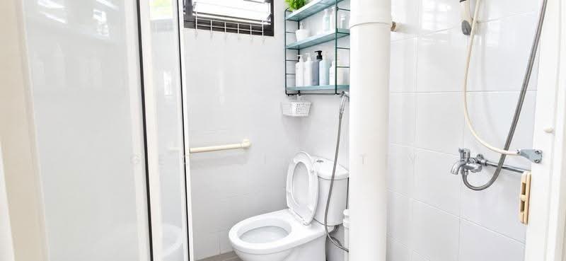 702 West Coast Road, 702 West Coast Road, Buona Vista / West Coast / Clementi New Town, 2 Bedrooms, 721 sqft, HDB Flat For Rent, by Georgina Tey, 500294623 - Bathroom - PropertyGuru.com.sg