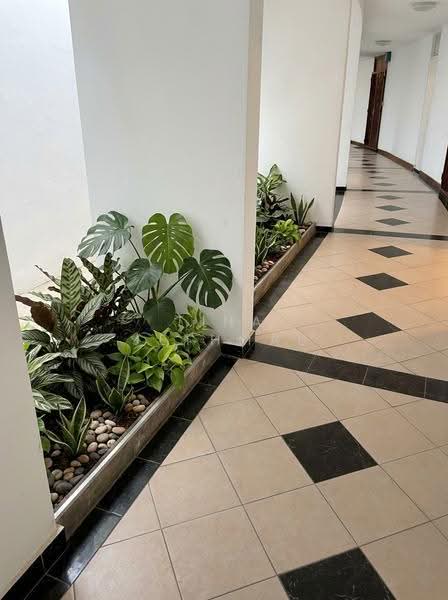 Planter Space Outside Entrance