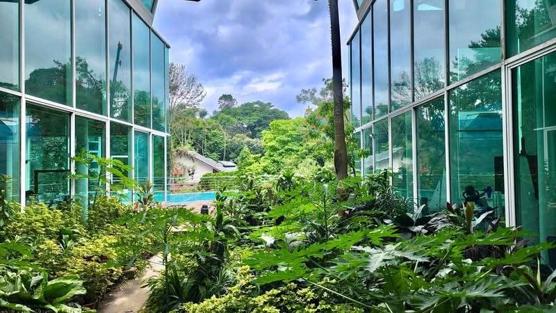 ☆ Prized GCB Plot in Nassim's Billionaires Row vicinity | Botanic Gdns View | Good Psf, Tanglin / Holland / Bukit Timah, 5 Bedrooms, 8,006 sqft, Good Class Bungalow For Sale, by Steve Tay, 500295548 - Exterior - PropertyGuru.com.sg