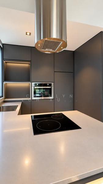 2 RVG, 2 River Valley Grove, Orchard / River Valley, 1 Bedroom, 688 sqft, Apartment For Sale, by Cherlyn Loh Xue Ting, 500295941 - Kitchen - PropertyGuru.com.sg