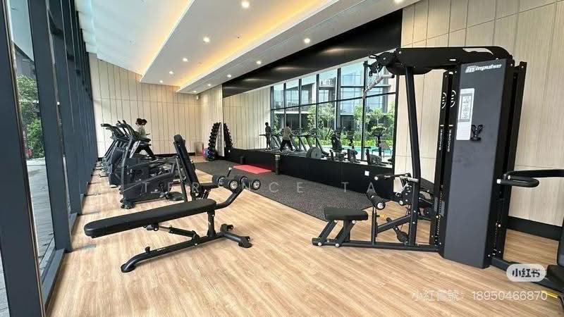 Piccadilly Grand, Northumberland Road, Farrer Park / Serangoon Rd, Room Rental, 200 sqft, Condominium For Rent, by Terence Tan, 500296555 - Gym - PropertyGuru.com.sg