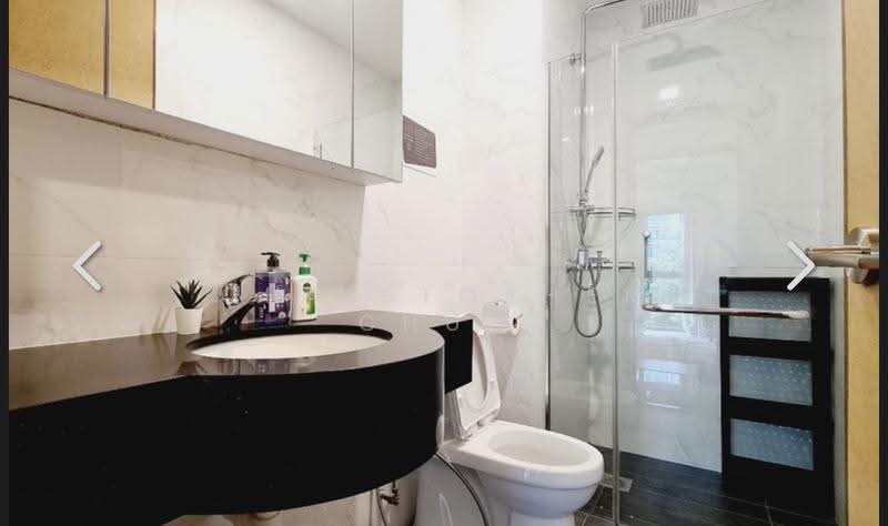 Oleanas Residences, 42 Kim Yam Road, Orchard / River Valley, Room Rental, 190 sqft, Condominium For Rent, by Christopher Chua, 500297499 - Bathroom - PropertyGuru.com.sg
