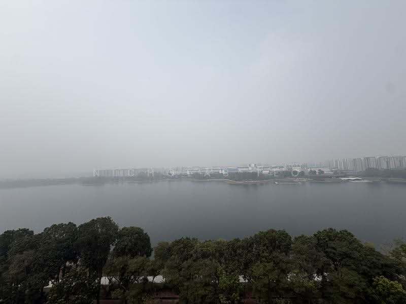 View