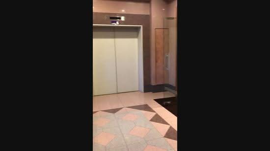 Crystal Time Building, 16 Tannery Lane, Macpherson / Potong Pasir, 3,020 sqft, Light Industrial (B1) For Rent, by Kenny Low, 500298390 - CommercialGuru.com.sg