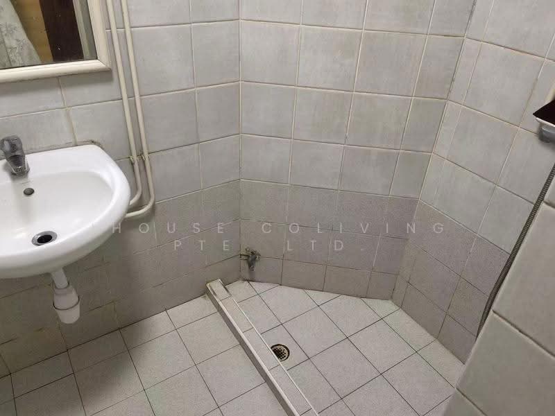 The Riverside Piazza, 11 Keng Cheow Road, Boat Quay / Raffles Place / Marina, Room Rental, 100 sqft, Condominium For Rent, by ling, 500298745 - Bathroom - PropertyGuru.com.sg