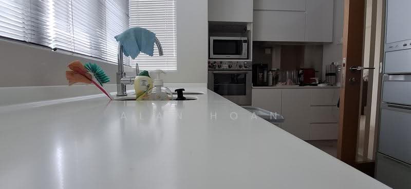 Park Infinia at Wee Nam, 2 Lincoln Road, Newton / Novena, 4 Bedrooms, 1,690 sqft, Condominium For Sale, by Alan Hoan, 500298907 - Kitchen - PropertyGuru.com.sg