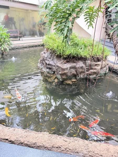 Horizon Gardens, Ang Mo Kio Avenue 2, Ang Mo Kio / Bishan / Thomson, 5 Bedrooms, 3,014 sqft, Cluster House For Sale, by Er Lin, 500298939 - PropertyGuru.com.sg
