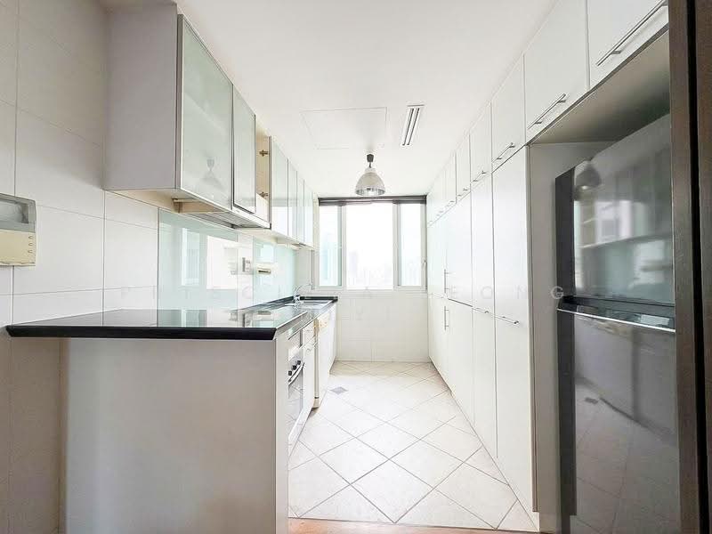 Robertson 100, 100 Robertson Quay, Orchard / River Valley, 2 Bedrooms, 872 sqft, Apartment For Sale, by PRISCILLA LEONG LIYI, 500300193 - Kitchen - PropertyGuru.com.sg