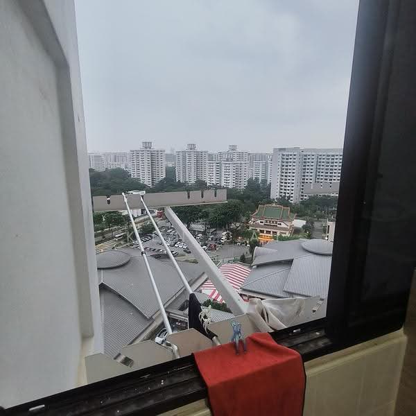 Window View from Kitchen