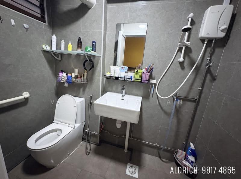 Toilet master
