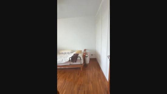 Watten Hill Condo, Watten View, Newton / Novena, 5 Bedrooms, 2,669 sqft, Condominium For Sale, by Bryan Setho, 500304091 - PropertyGuru.com.sg