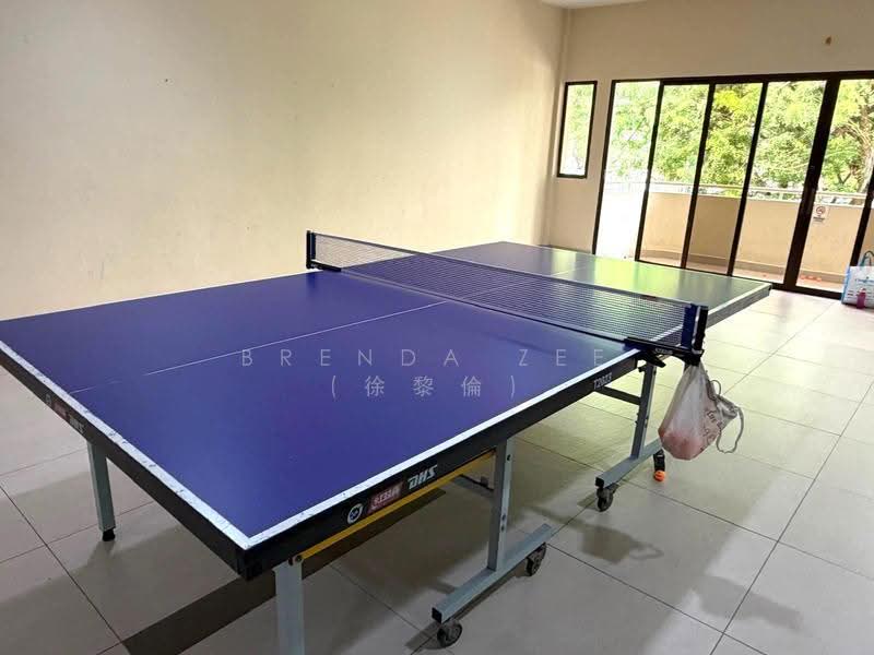 Table Tennis Room