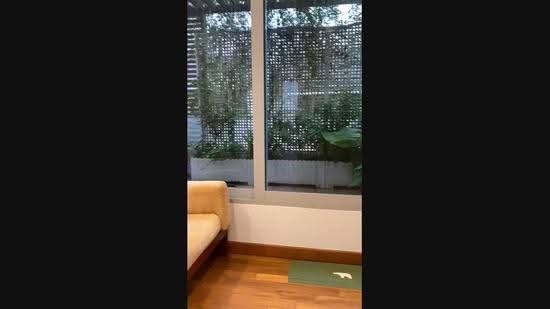 Ventura Heights, 69N Jalan Lim Tai See, Tanglin / Holland / Bukit Timah, 4 Bedrooms, 1,500 sqft, Cluster House For Sale, by Pravin Kumar, 500308647 - PropertyGuru.com.sg