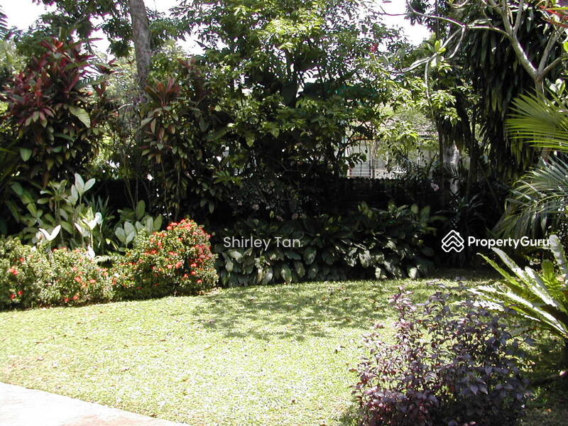 matured landscaped garden