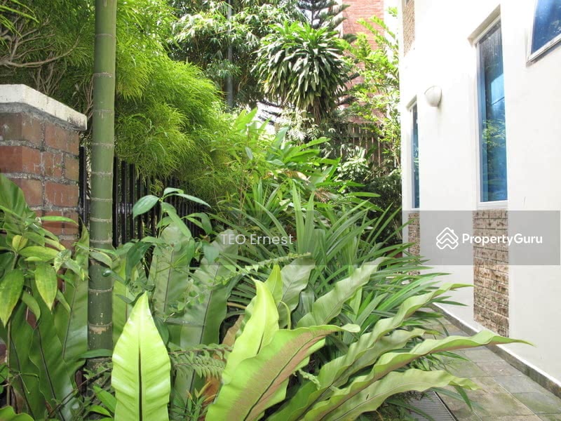 More Greenery