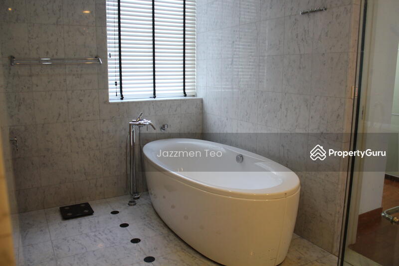 Master bathroom bathtub