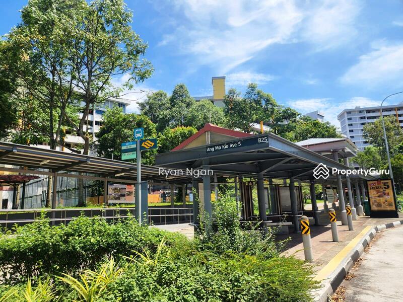 Sheltered Bus stop from the blk