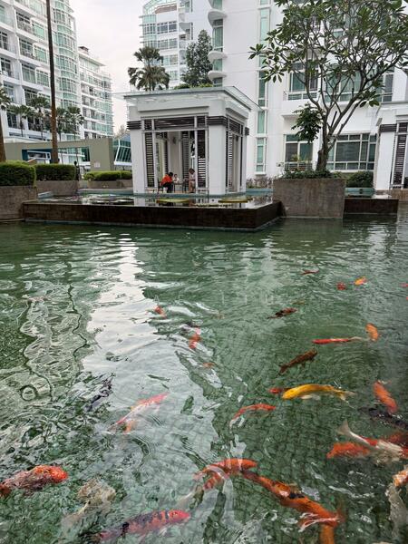 The Cascadia, 921 Bukit Timah Road, Clementi Park / Upper Bukit Timah, 3 Bedrooms, 1,184 sqft, Condominium For Rent, by Mae Liu, 60004919 - Garden - PropertyGuru.com.sg