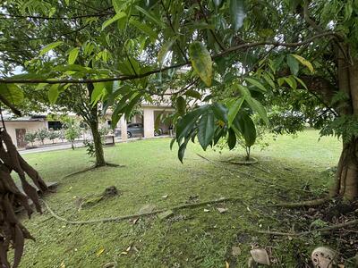 For Sale - Rare Extremely Huge Freehold Bungalow with super Wide frontage & regular Land