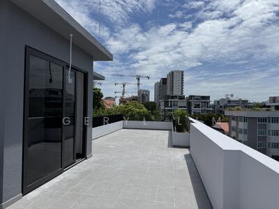 For Sale - ⭐️⭐️ LANDED7772@ Brand New Designer Home In Katong D15 ☎️ GL 92787772