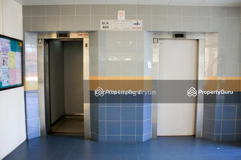 For Rent - 803 Chai Chee Road