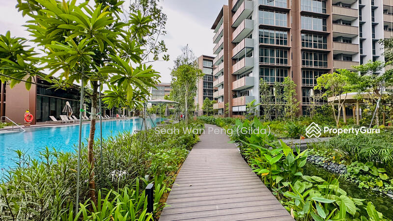 Boardwalk & Meandering Stream