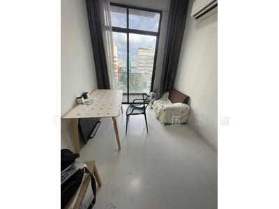 For Sale - Neem Tree