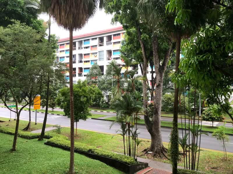 816 Jurong West Street 81, 816 Jurong West Street 81, Room Rental, 100 sqft, HDB Flat For Rent, by Stella Kuek, 60008464 - Garden - PropertyGuru.com.sg
