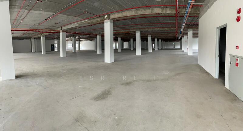 30 marsiling industrial road 8, , 39,923 sqft, Factory / Workshop (B2) For Rent, by ROYSTON, 60008515 - Others - CommercialGuru.com.sg