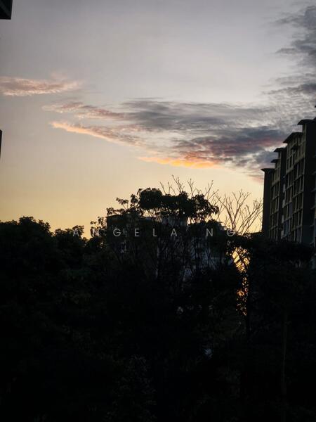 Sunrise view 