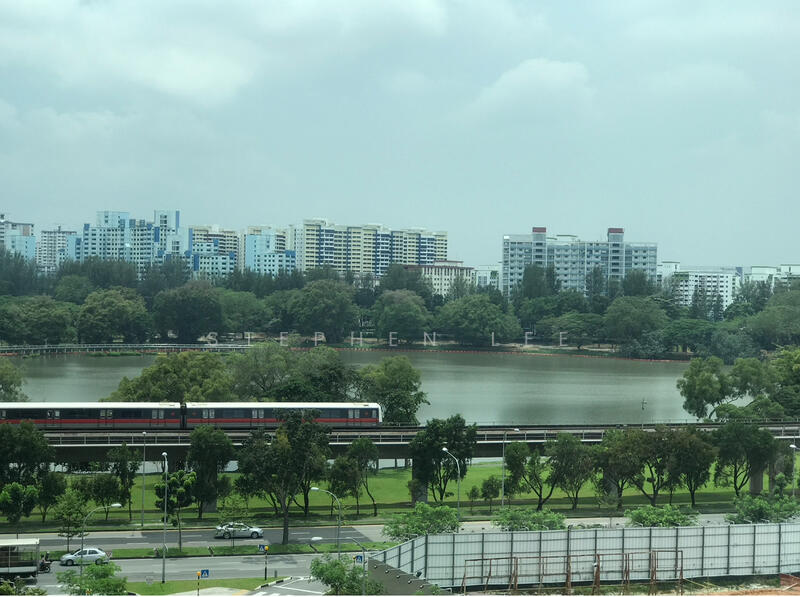 Facing Jurong Lake