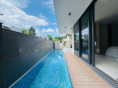 For Sale - Brand new & luxury semi-d with lift, pool and basement, NS facing