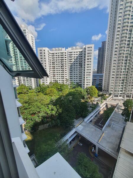 View