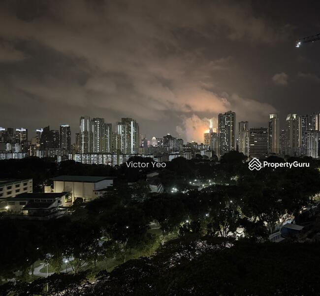 Night View with Fireworks 