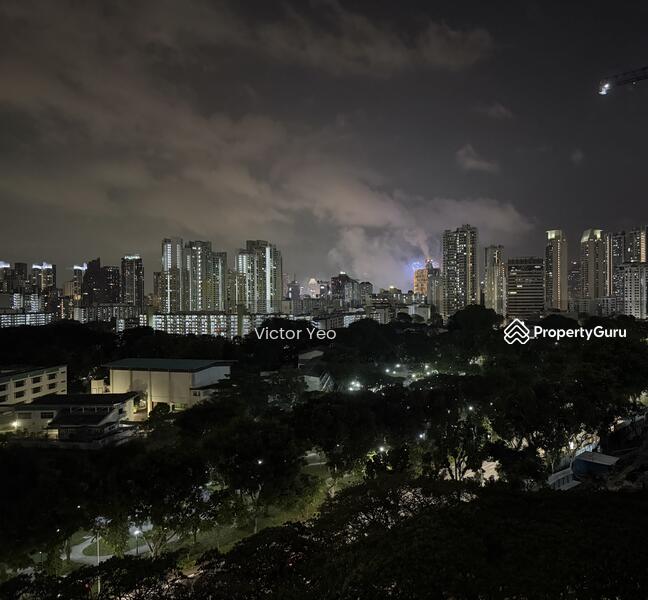 Night View with Fireworks 