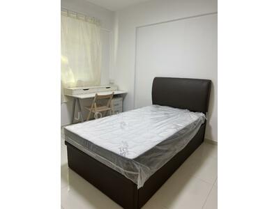 For Rent - 323 Woodlands Street 32