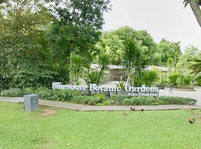 For Sale - Botanic Gardens vicinity land for subdivision