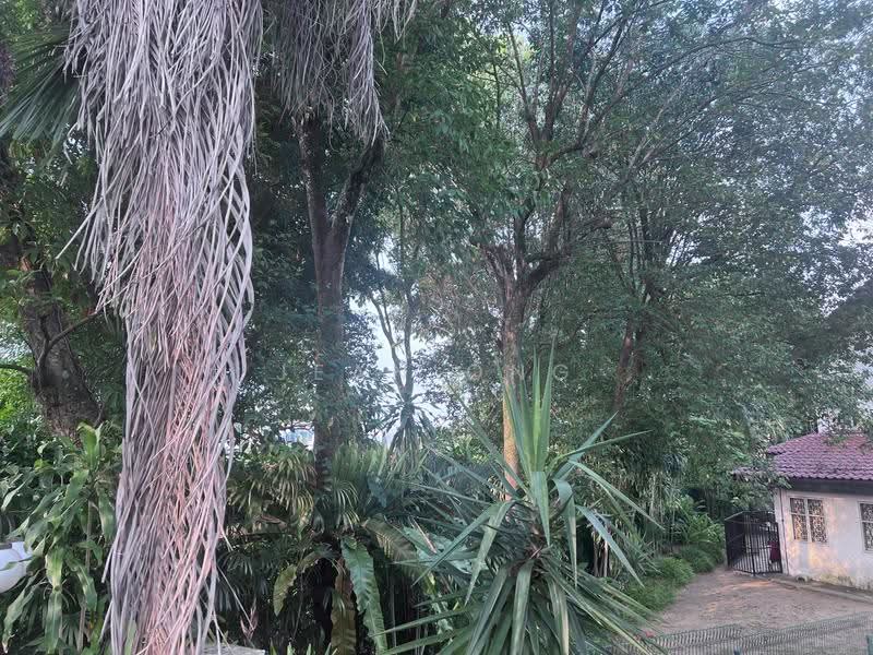 ⭐️⭐️D10 BIN TONG PARK GCB. FREEHOLD. SPRAWLING LANDSCAPE. ☎️JEAN 93571119, Bin Tong Park/Leedon/Cornwall Gardens, Tanglin / Holland / Bukit Timah, 3 Bedrooms, 4,000 sqft, Good Class Bungalow For Sale, by Jean Ong, 60014627 - Exterior - PropertyGuru.com.sg