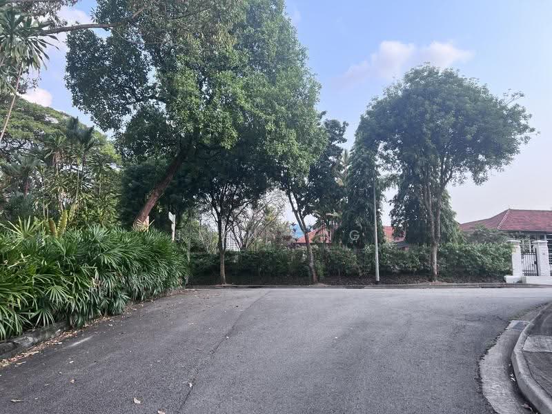⭐️⭐️D10 BIN TONG PARK GCB. FREEHOLD. SPRAWLING LANDSCAPE. ☎️JEAN 93571119, Bin Tong Park/Leedon/Cornwall Gardens, Tanglin / Holland / Bukit Timah, 3 Bedrooms, 4,000 sqft, Good Class Bungalow For Sale, by Jean Ong, 60014627 - PropertyGuru.com.sg