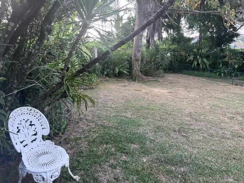 ⭐️⭐️D10 BIN TONG PARK GCB. FREEHOLD. SPRAWLING LANDSCAPE. ☎️JEAN 93571119, Bin Tong Park/Leedon/Cornwall Gardens, Tanglin / Holland / Bukit Timah, 3 Bedrooms, 4,000 sqft, Good Class Bungalow For Sale, by Jean Ong, 60014627 - Garden - PropertyGuru.com.sg