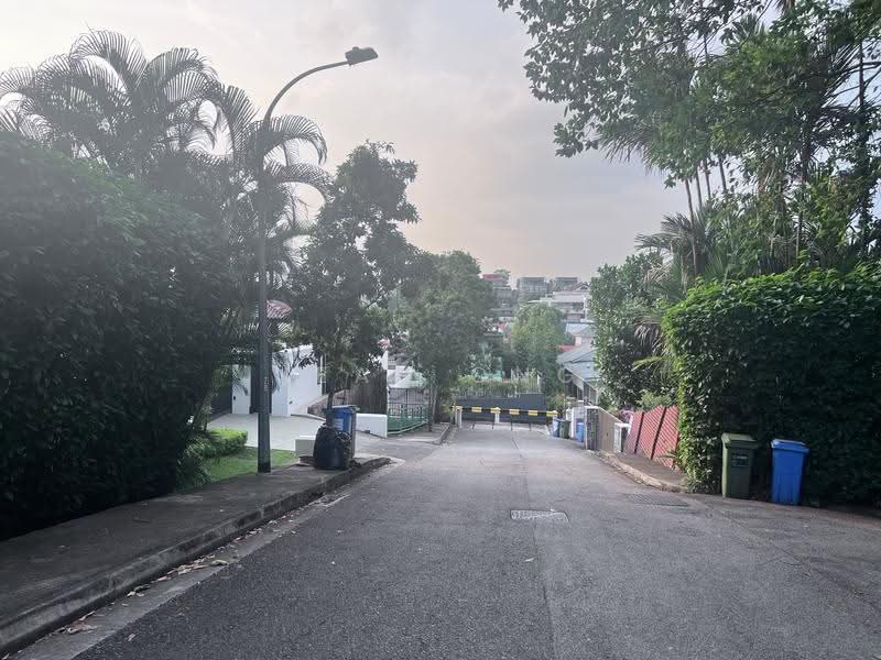 ⭐️⭐️D10 BIN TONG PARK GCB. FREEHOLD. SPRAWLING LANDSCAPE. ☎️JEAN 93571119, Bin Tong Park/Leedon/Cornwall Gardens, Tanglin / Holland / Bukit Timah, 3 Bedrooms, 4,000 sqft, Good Class Bungalow For Sale, by Jean Ong, 60014627 - Exterior - PropertyGuru.com.sg