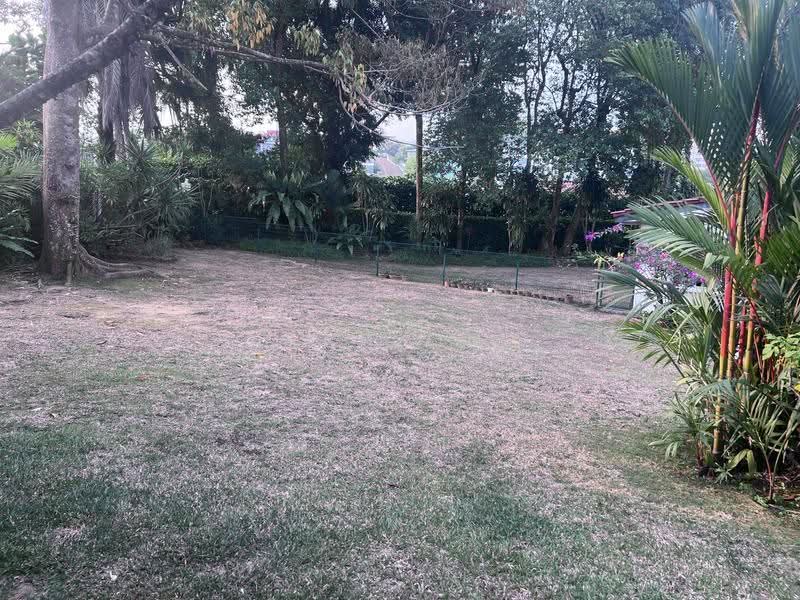 ⭐️⭐️D10 BIN TONG PARK GCB. FREEHOLD. SPRAWLING LANDSCAPE. ☎️JEAN 93571119, Bin Tong Park/Leedon/Cornwall Gardens, Tanglin / Holland / Bukit Timah, 3 Bedrooms, 4,000 sqft, Good Class Bungalow For Sale, by Jean Ong, 60014627 - Garden - PropertyGuru.com.sg