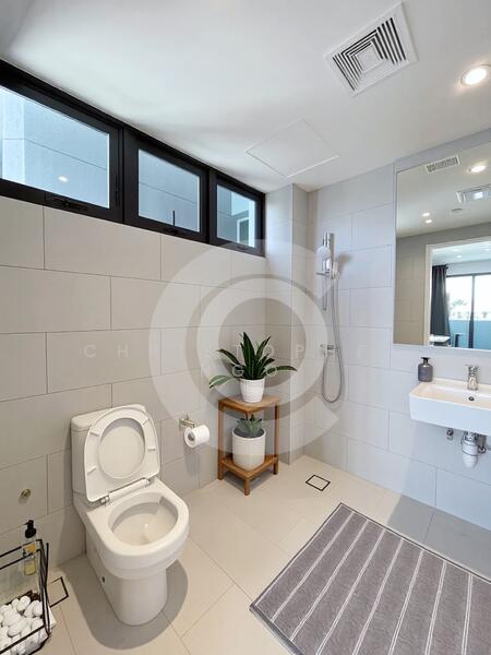 Equity Cozy City Living MRT, Dhoby Ghaut MRT, Plaza Sing, Mount Sophia, Wilkie, Studio, 350 sqft, Apartment For Rent, by Christopher Ngo, 60015785 - PropertyGuru.com.sg