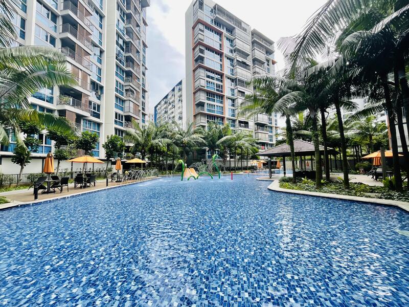 Q Bay Residences, 15 Tampines Street 86, Studio, 300 sqft, Condominium For Rent, by Young Chng, 60016093 - Pool - PropertyGuru.com.sg